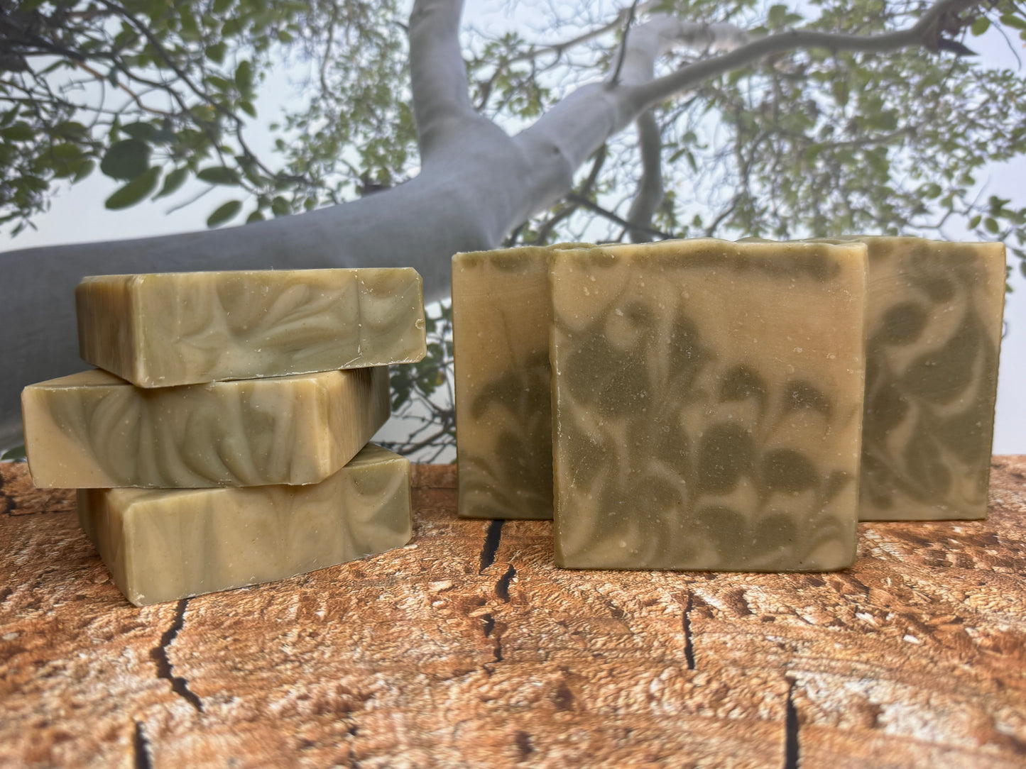 Calm Reserve Tallow & Goat Soap 5oz, Sandalwood-Cedar layered, Grit: Fine