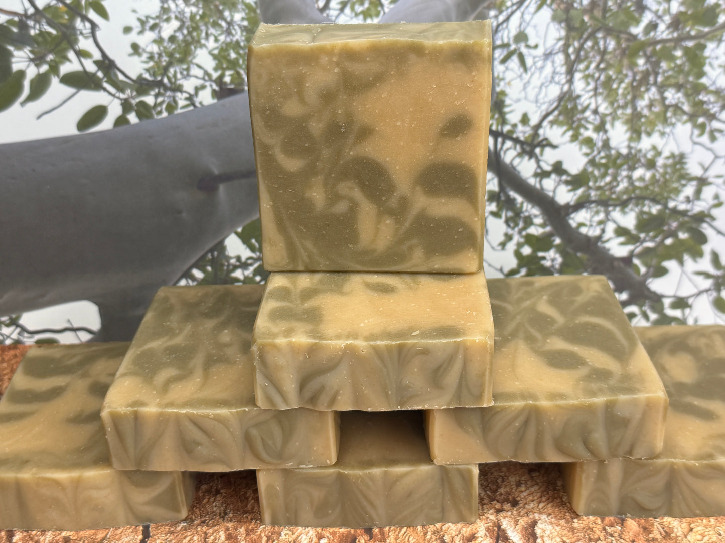 Calm Reserve Tallow & Goat Soap 5oz, Sandalwood-Cedar layered, Grit: Fine