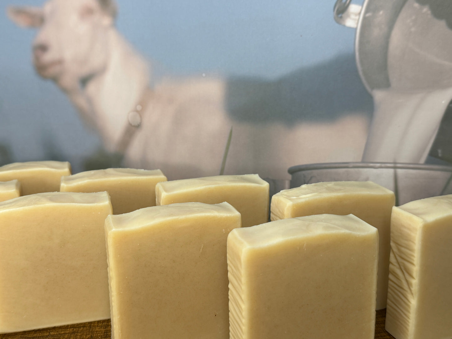 Pure Pastures Tallow & Goat's Milk Soap, Unscented , Grit: Fine