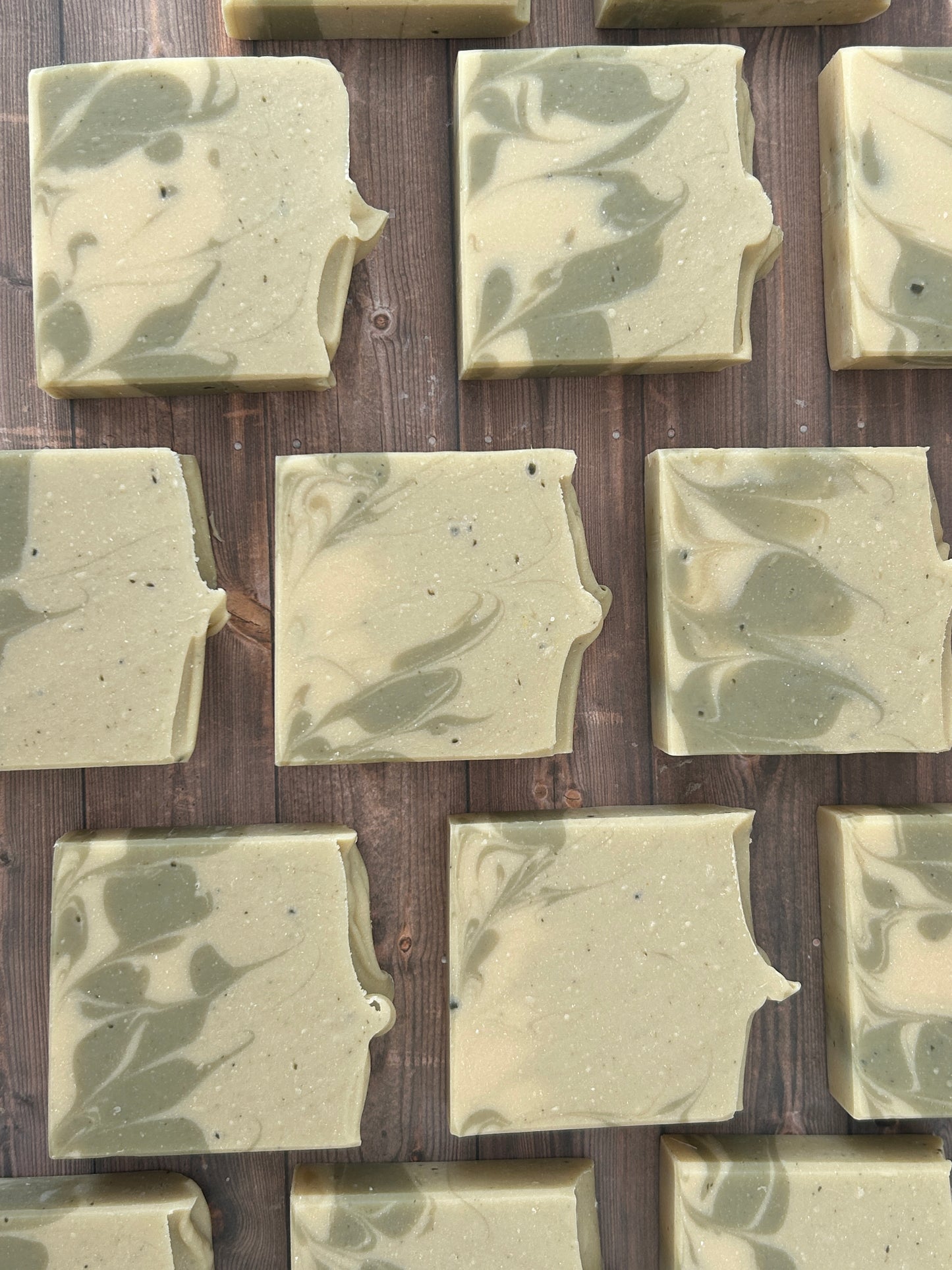 Fresh Forest 5oz Body Soap, Earthy-Woody-Herbaceous, Grit-Fine